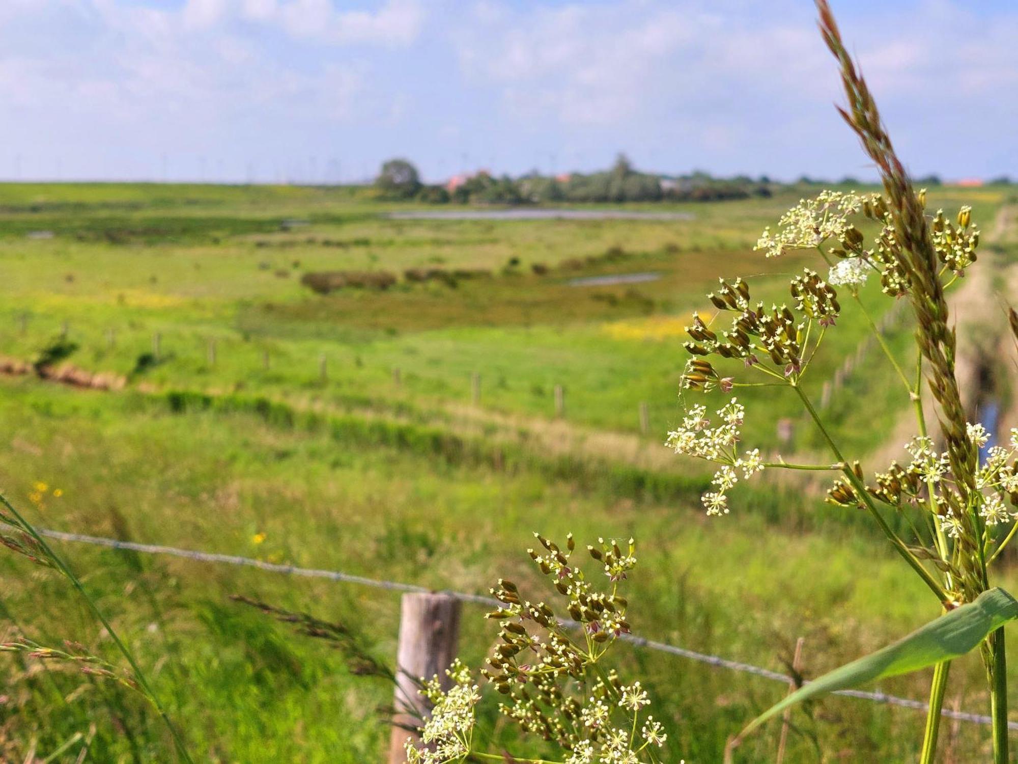 Groenendijk Verhuur Oud Brabers Vakantiehuis Burgh-Haamstede